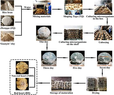 Study on microbial community of “green-covering” Tuqu and the effect of fortified autochthonous <mark class="highlighted">Monascus</mark> purpureus on the flavor components of light-aroma-type Baijiu